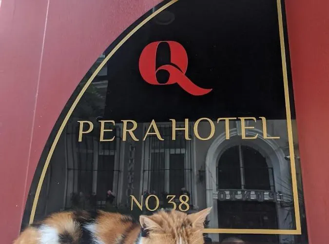 Q Pera (adults Only) 伊斯坦布尔